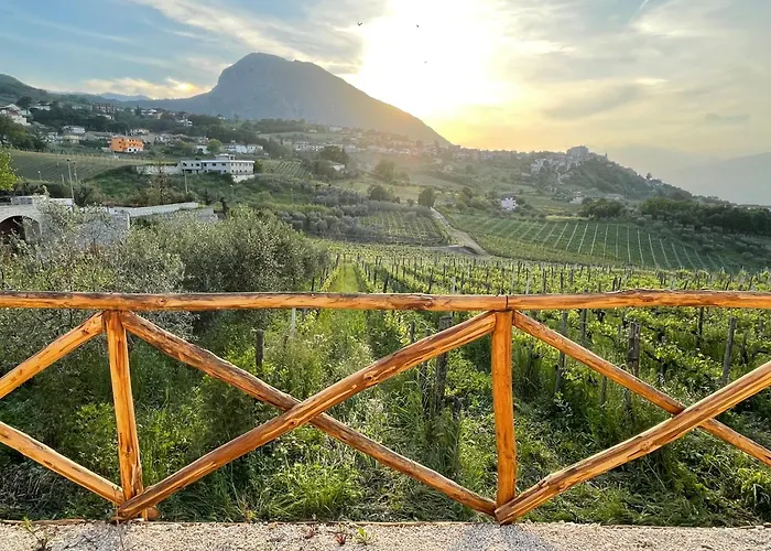 Terra Mea 팜스테이 *